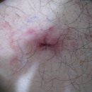 현대통통의원 이미지