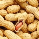 땅콩동물병원 이미지