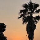 더 아도록 이미지