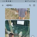병만농장 이미지