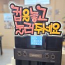 향남 횟집 선창수산 점심 양 많은 초밥 우동
