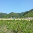 정선가든 이미지