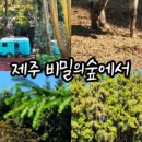 춘자네식당 이미지