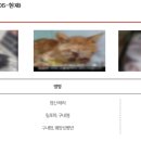 동물사랑세상 의료센터 이미지