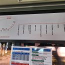 씨유 서귀포동문중앙점 | 서귀포 도심급행버스 501번 직접 타본 후기, 2026년 2월 신설 버스 시간표