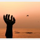 몸바른의원 이미지