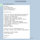 아름다운 개 | W_06 제주스냅 ｜유난히 아름다운 오늘(유아오) + 홀스테일러 사전피팅 후기