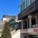 창동 가로수길 | 창원 크리스마스 카페 프랭크커핀바 가로수길 트리 데이트