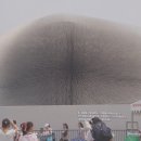 하나정보 이미지