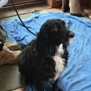 오케이슈퍼마켓 | 영국 우핑 우프 마지막날 버스 타는 법 요금 Wwoof 후기