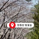 탄동천2 이미지