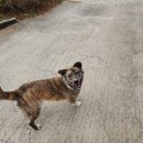 희희낙락풀빌라 이미지