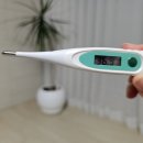 강아지와 고양이 | 강아지 고양이 체온계 측정 확인 방법 내돈내산 후기
