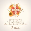 더프앤탑핑