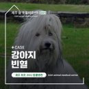 제주24시숨동물의료센터 이미지