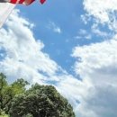 일로로이 이미지