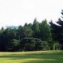 현충원로(유성-19) 이미지