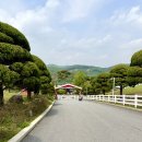 책 놀이터 나들이 | 충북 아이와 가볼만한 봄 나들이 장소 5곳