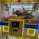 캐칭덕 구리돌다리점 이미지