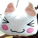 토로