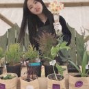 파니쿰 이미지
