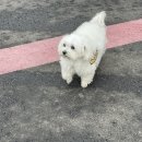 루이네워시존 이미지