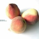 주희(JooHee) 이미지