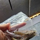 J&D 실내바다낚시터 네이버블로그