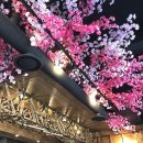 금화조경