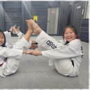 연세 성원 태권도 이미지