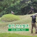 성일조경