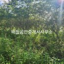 창선면사무소 이미지