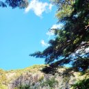 구병리 공중화장실 | 충북 알프스 제대로 힐링 요를레이히! - 구병리마을, 멍에목성지