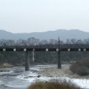 운전천 Daum카페