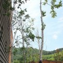 (자)태백소방 이미지