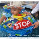 진양호캐리비안 이미지