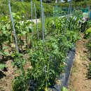 마산농장 이미지