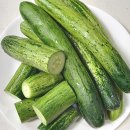 햇빛 좋은 PT 이미지