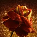 봉양경로당 이미지