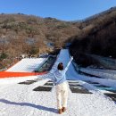 장흥 자연휴양림 | 경기도 양주 눈썰매장 추천 장흥자연휴양림 눈꽃썰매장