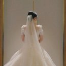 디어유스(Dear Youth) 이미지