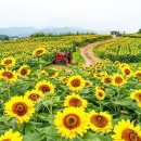 가야산 관광펜션 이미지