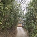 길냥이와 함께하는 이미지