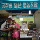 신공주밤생산영농조합 네이버블로그