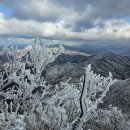 겨울산의 눈꽃(雪花),상고대,얼음꽃(氷花) 이미지