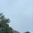 로카커피