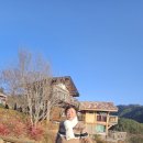 향초목원 Daum카페