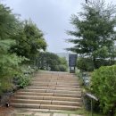[이천 여행, 카페 추천] 티하우스에덴 - 대형카페 경치좋은 곳 | 내돈내산