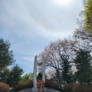 호국공원 | 경기광주 가볼만한곳 호국보훈공원 벚꽃길 후기 (주차, 전망대 이동 팁)