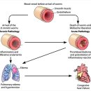 미사마이펫동물병원 이미지